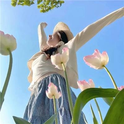 狂风飞絮